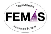 FEMAS Logo