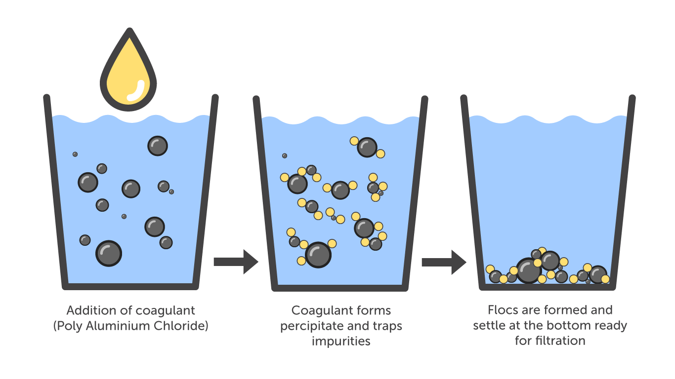 coagulation in action