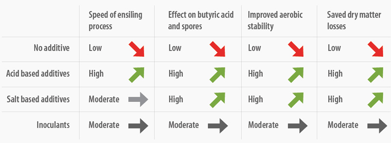 Silage additives performance graph